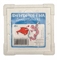 Червь дендробена XL